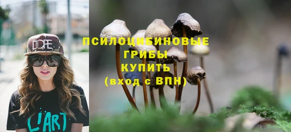 мет Верхний Тагил