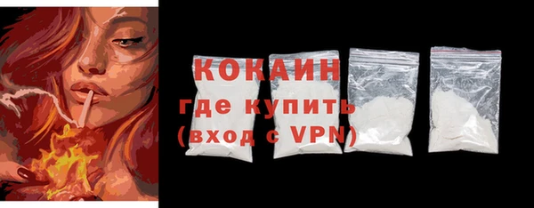 твердый Михайлов