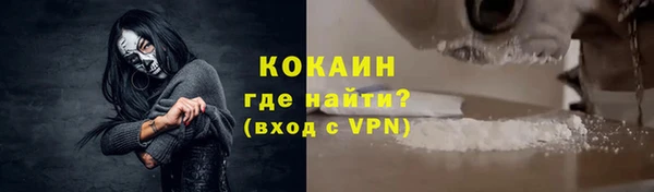 твердый Михайлов