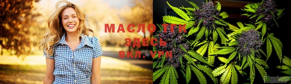 твердый Михайлов