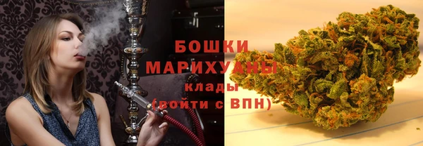 твердый Михайлов
