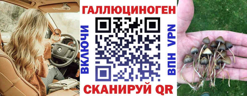 где найти   MEGA ссылки  Псилоцибиновые грибы MAGIC MUSHROOMS  Нефтеюганск 